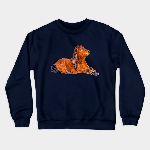 Cute Shetland Pony Crewneck Sweatshirt by dalyndigaital2@gmail.com